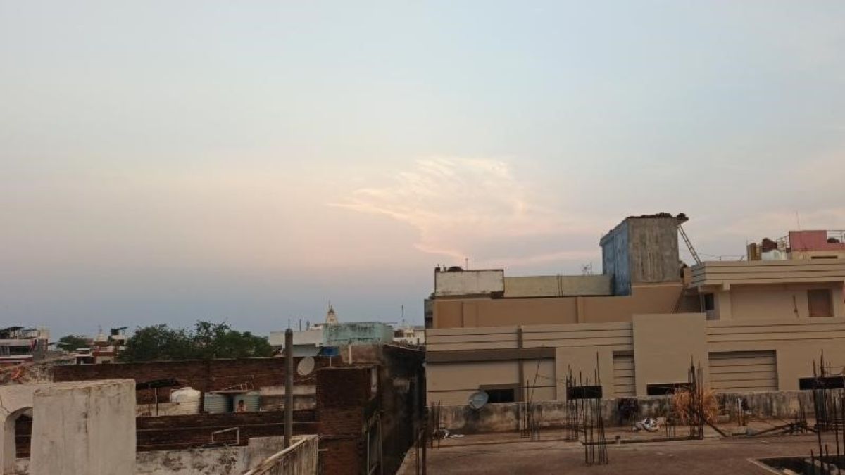 naidunia_image
